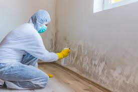 Best Mold Documentation for Insurance Claims  in Glendora, NJ